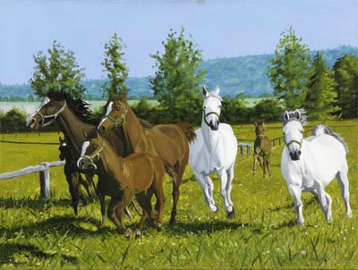 マリウシュ・マクチューカ　「馬」　油彩画