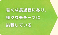 若く成長過程にあり、様々なモチーフに挑戦している