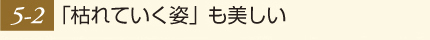 「枯れていく姿」も美しい