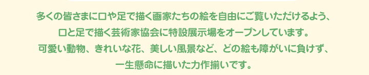 多くの皆さまに口や足で描く画家たちの絵を自由にご覧いただけるよう、口と足で描く芸術家協会に特設展示場をオープンしています。可愛い動物、きれいな花、美しい風景など、どの絵も障がいに負けず、一生懸命に描いた力作揃いです。